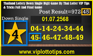 Thai Lottery Down Single Digit Game Vip Tips 01.07.2025