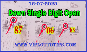 Thai Lottery Down Game Open 01/06/2025