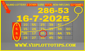 Thai Lotto 2 Down Sure Total Non-Missing 12 Games 16.july.2025