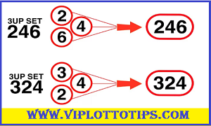 Thai Lotto Bangkok Special Winning Number Tips 1st August 2025
