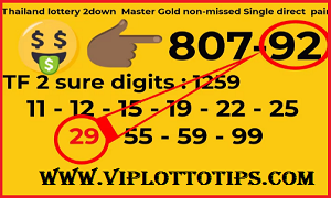 Thai lottery 2Down Master Gold Non-missed Direct Pair 16.07.2025
