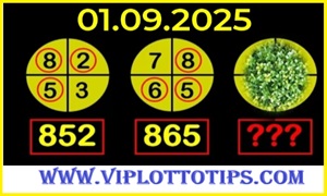 Thai Lottery Result Today With Special Touch Open 01-09-2025