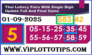 Thai Lottery Pairs Single Digit Update Full And Final Game 1-9-2025