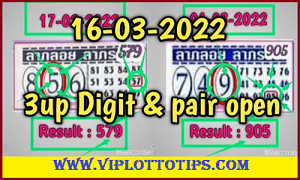 Thai Lottery single digit & pair open 100% pass 01 September 2025