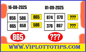 Thailand Lottery Driect Set 3D Sure Final Vip Tips 01.09.2025
