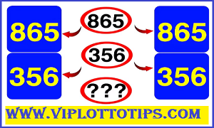 Thai Lottery 3up Driect Set 3D Live Result Today 16.09.2025